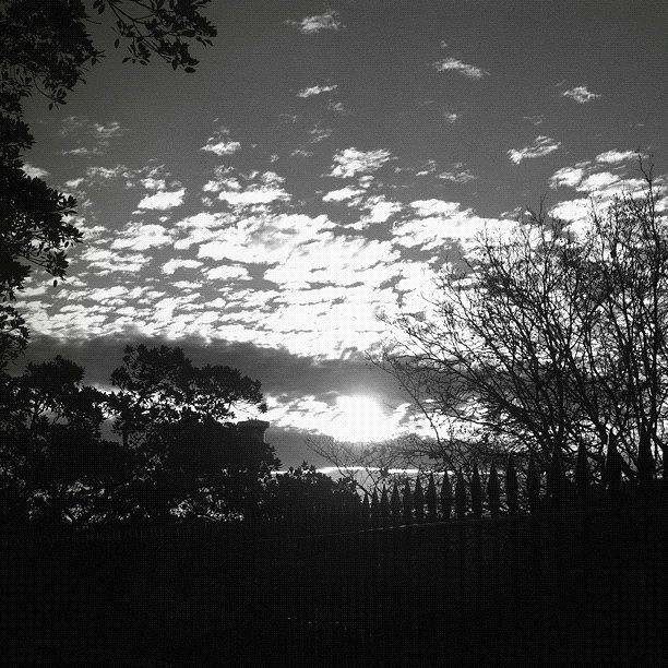 Sunset Photograph - Silver Sun #iphoneography #igerssydney by Kendall Saint