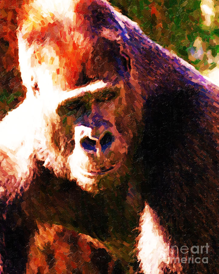 Animal Photograph - Silverback Gorilla . Photoart by Wingsdomain Art and Photography