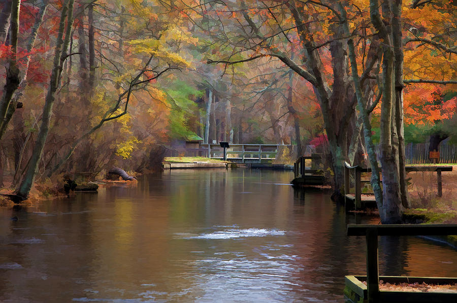 Simple Autumn Stream Photograph by Cathy Kovarik