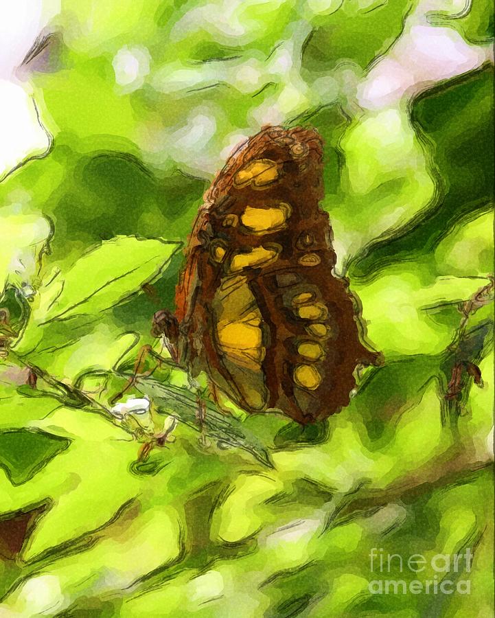 Simple Butterfly Painting by Smilin Eyes Treasures