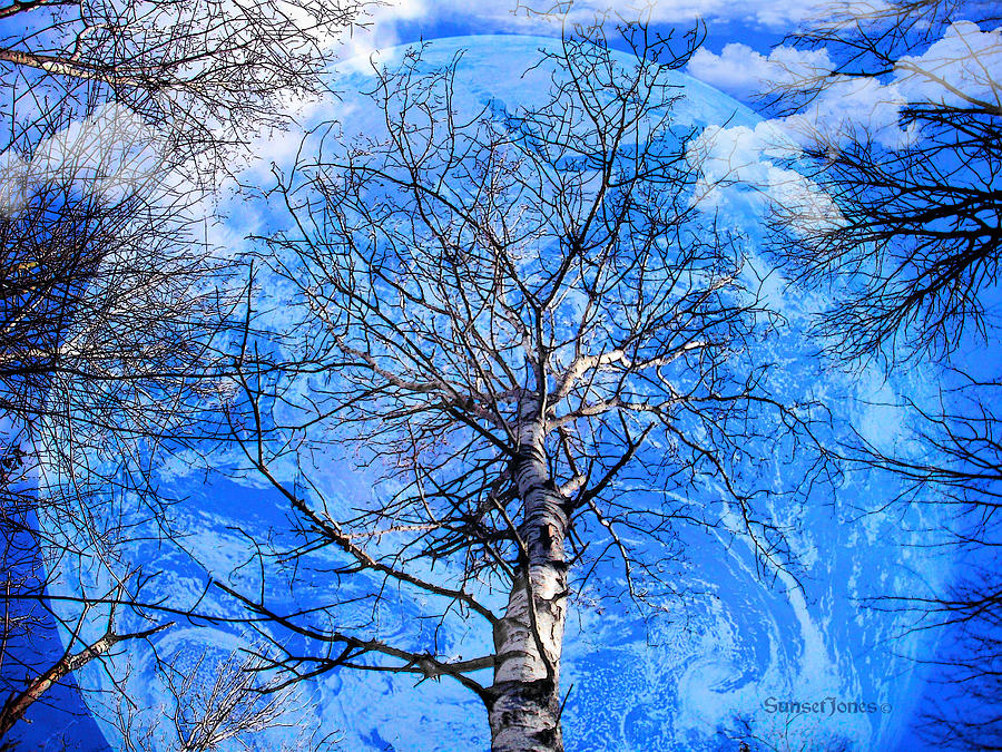 Tree Digital Art - Simple Life- by Robert Orinski