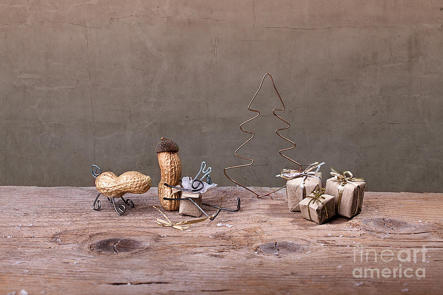 Christmas Photograph - Simple Things - Christmas 06 by Nailia Schwarz