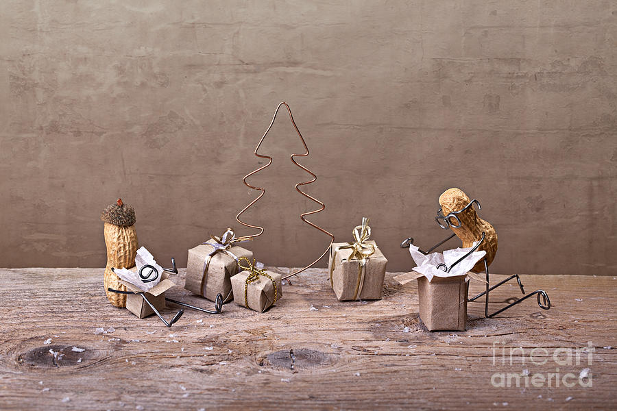 Christmas Photograph - Simple Things - Christmas 08 by Nailia Schwarz