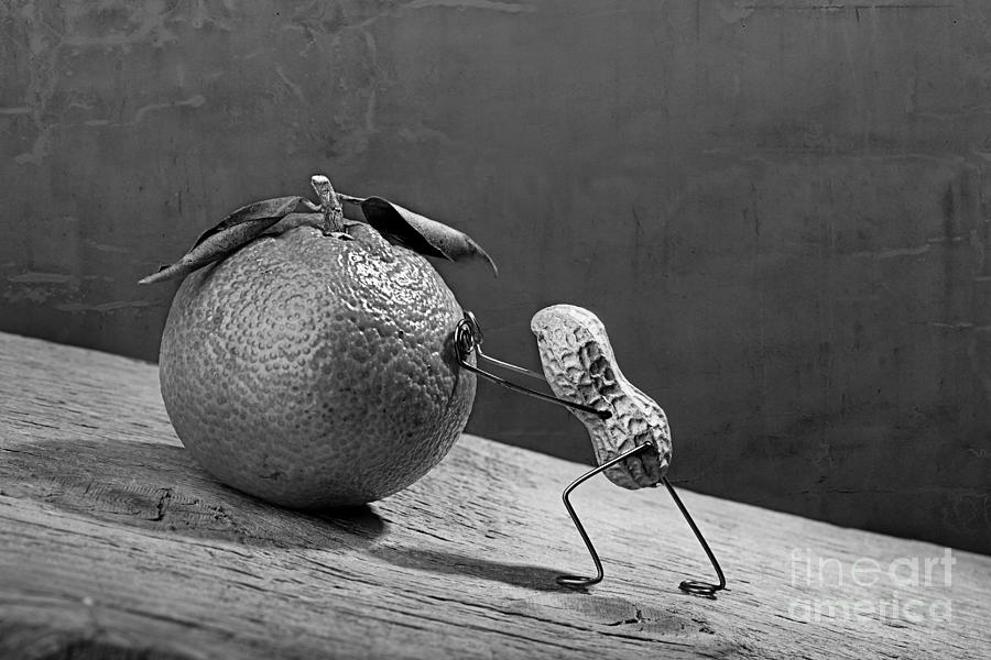 Still Life Photograph - Simple Things - Sisyphos 02 by Nailia Schwarz