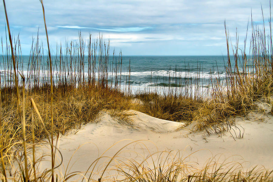 Simply the Beach by Nadine Lewis Simply the Beach by Nadine Lewis
