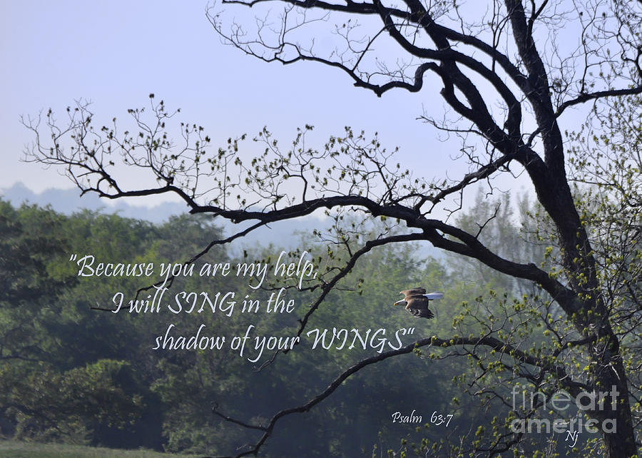 Sing in the Shadow Photograph by Nava Thompson