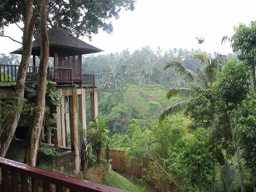  Singapore  Tree  House  Photograph by Shawn Hughes