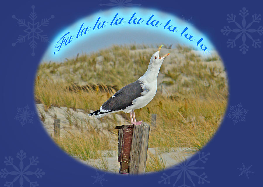 Singing Seagull Christmas Card Photograph by Carol Senske