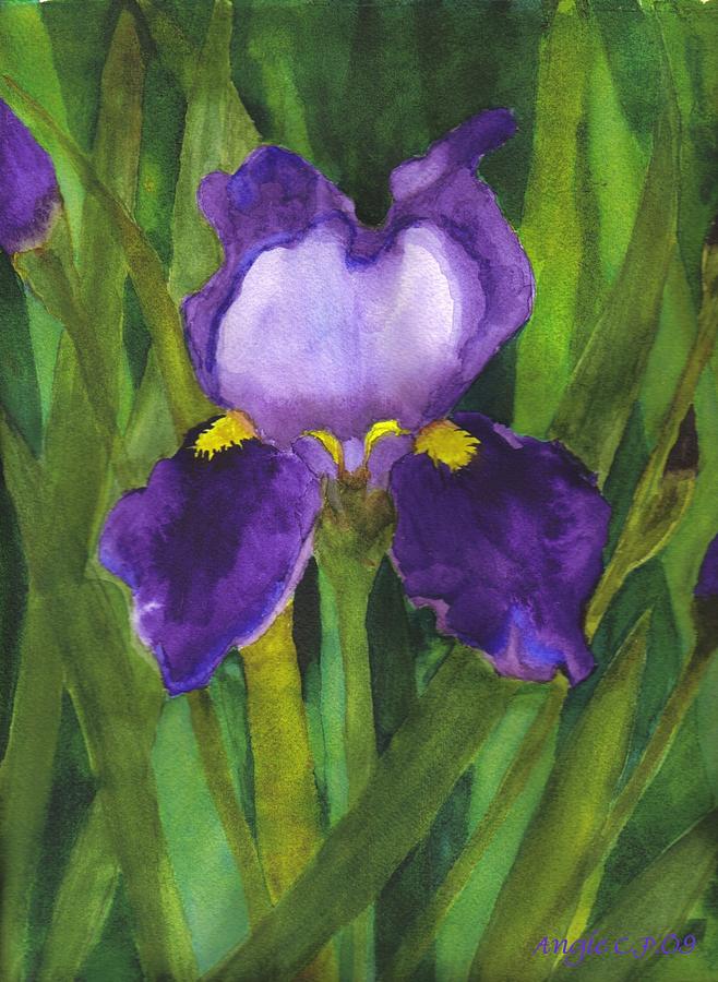 Single Iris by Angela Campo - Single Iris Painting - Single Iris Fine ...