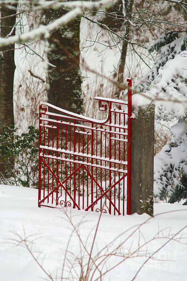 Single Red Gate Photograph by Randy Harris