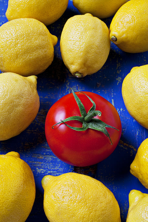 Fruit Photograph - Single tomato with lemons by Garry Gay