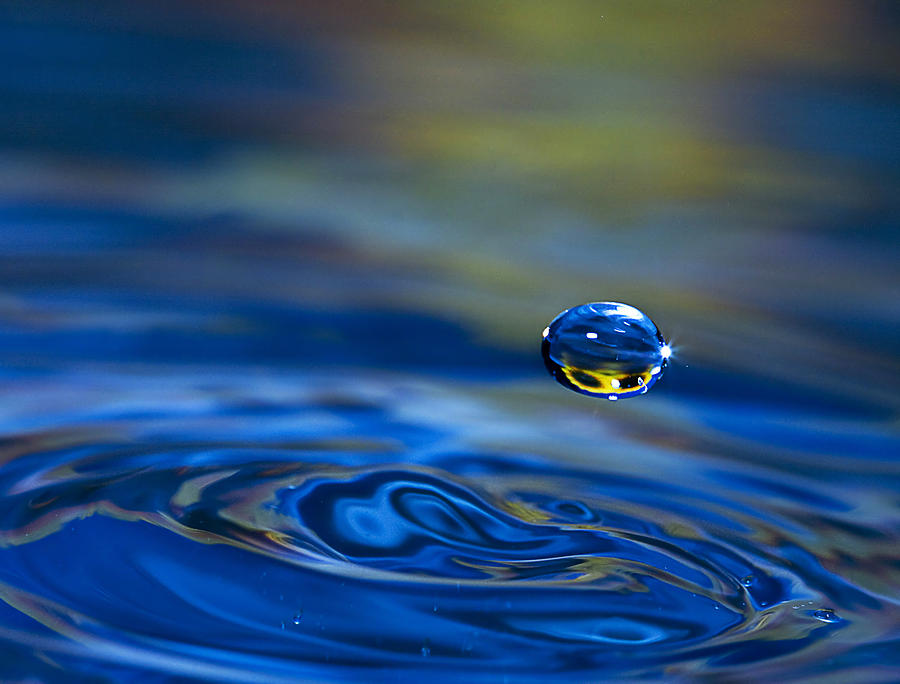 Single WaterDrop Photograph by Trudy Wilkerson