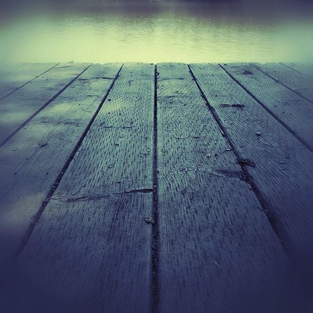 Nature Photograph - Sittin On The Dock by Jessica Mutimer