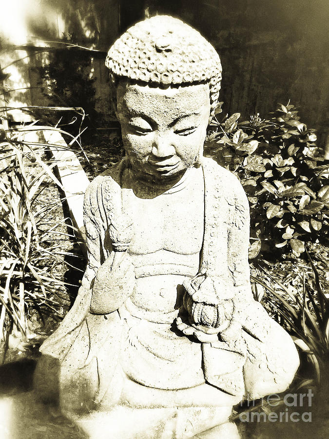 Sitting Buddha II Photograph by Angela Wright - Fine Art America