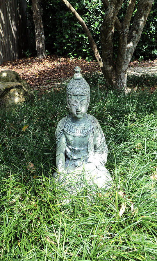 Sitting Buddha Photograph by Megan Dirsa-DuBois