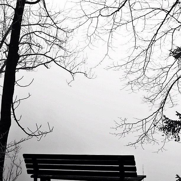 Sitting Here Alone With My Memories Photograph by Sandra  Goransson