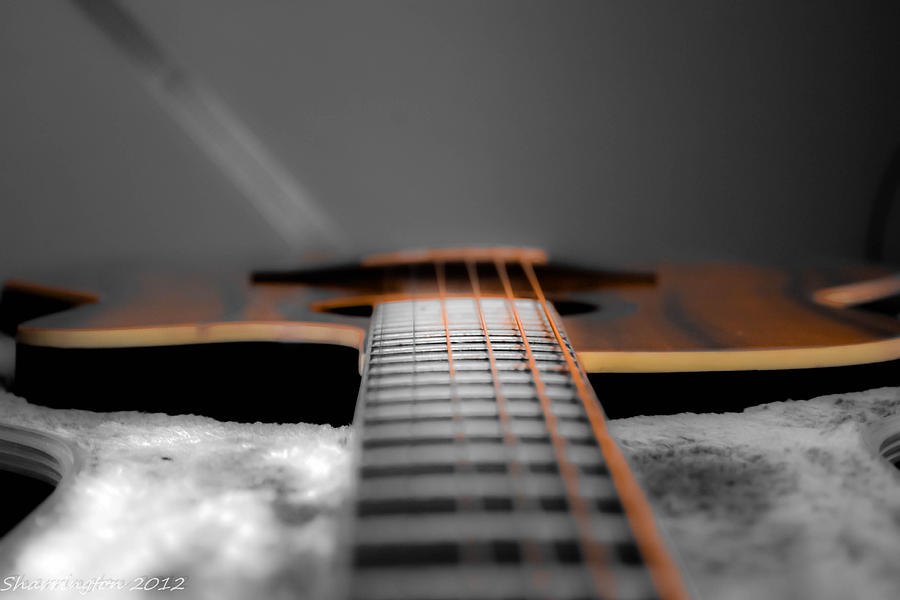 Guitar Still Life Photograph - Six String by Shannon Harrington