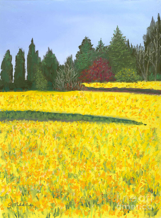 Skagit Valley Daffodils Pastel by Ginny Neece