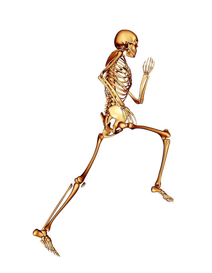 Skeleton Running Photograph by Pasieka - Fine Art America