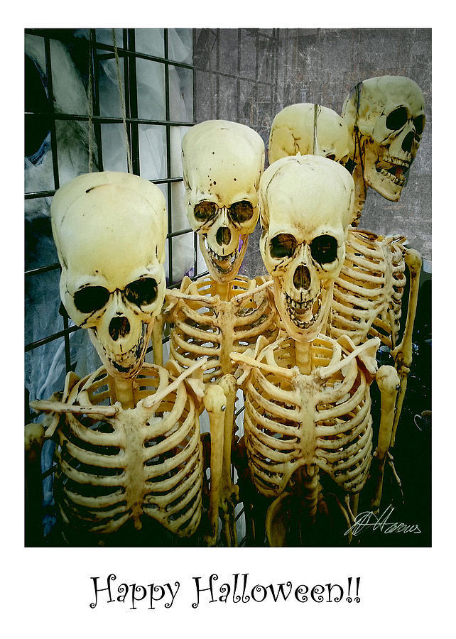 Skeletons Photograph by Diana Haronis