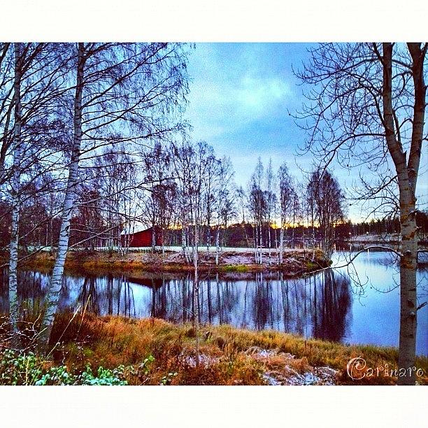 Winter Photograph - #skellefteå #västerbotten by Carina Ro