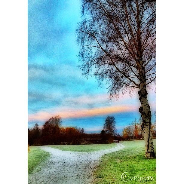 Winter Photograph - #skellefteå #västerbotten #norrland by Carina Ro