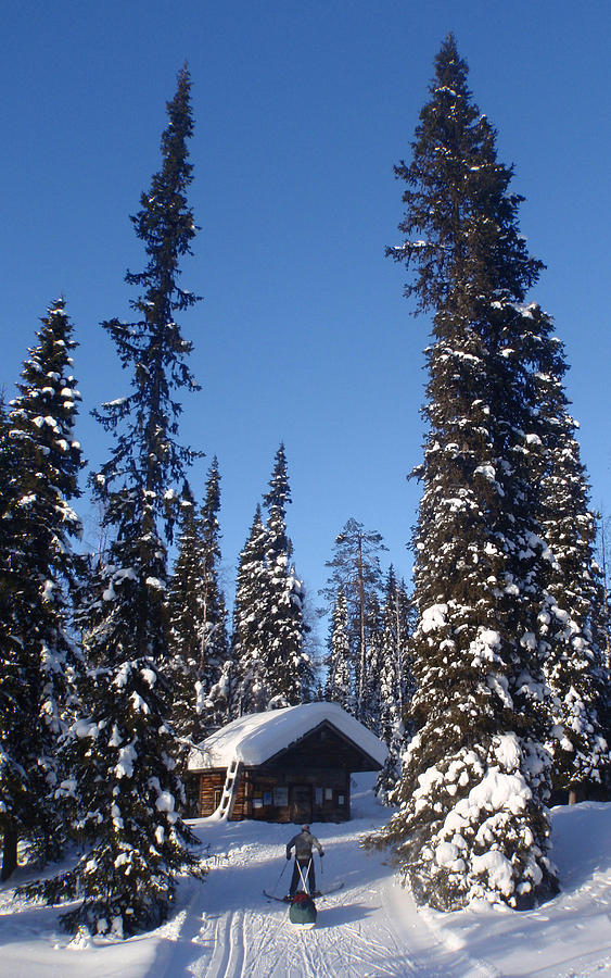 Ski tour in Lapland Photograph by Eugene Ross - Fine Art America