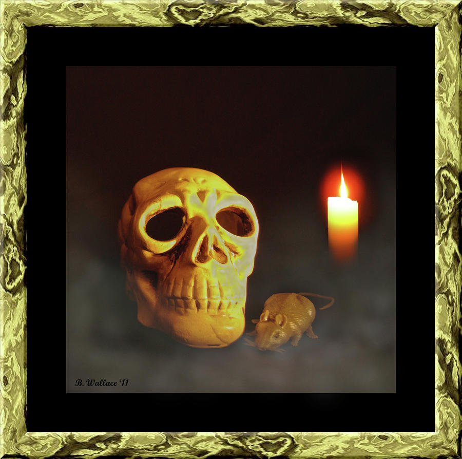 Skull and Candle Photograph by Brian Wallace