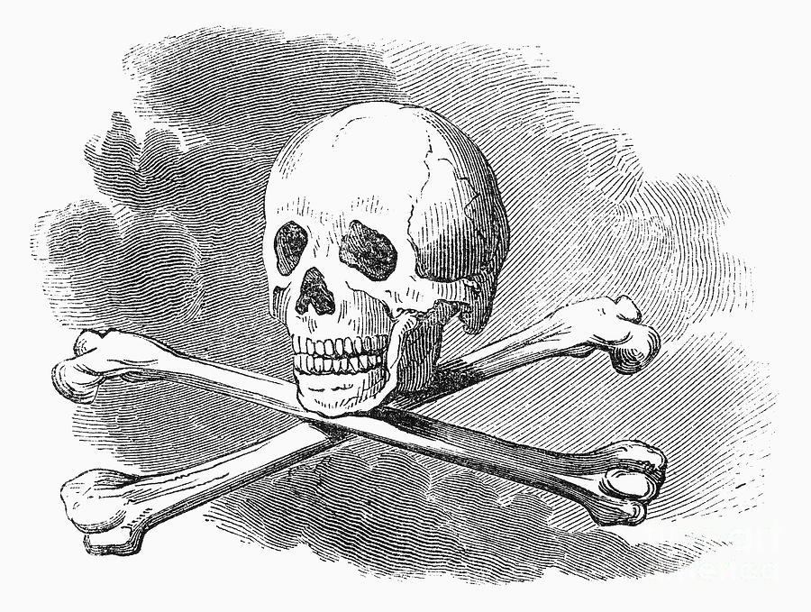 Skull Photograph - Skull And Crossbones by Granger