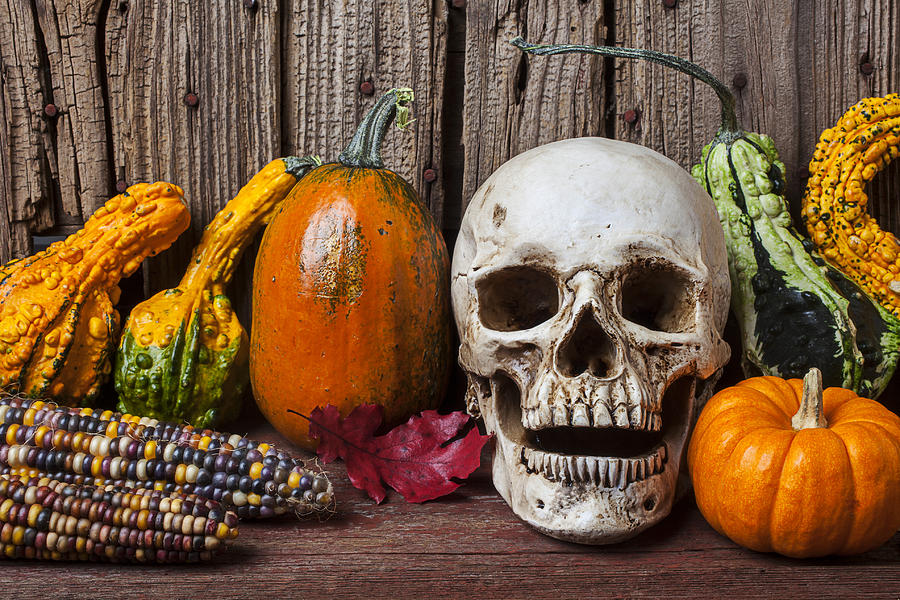 Skull Photograph - Skull and gourds by Garry Gay