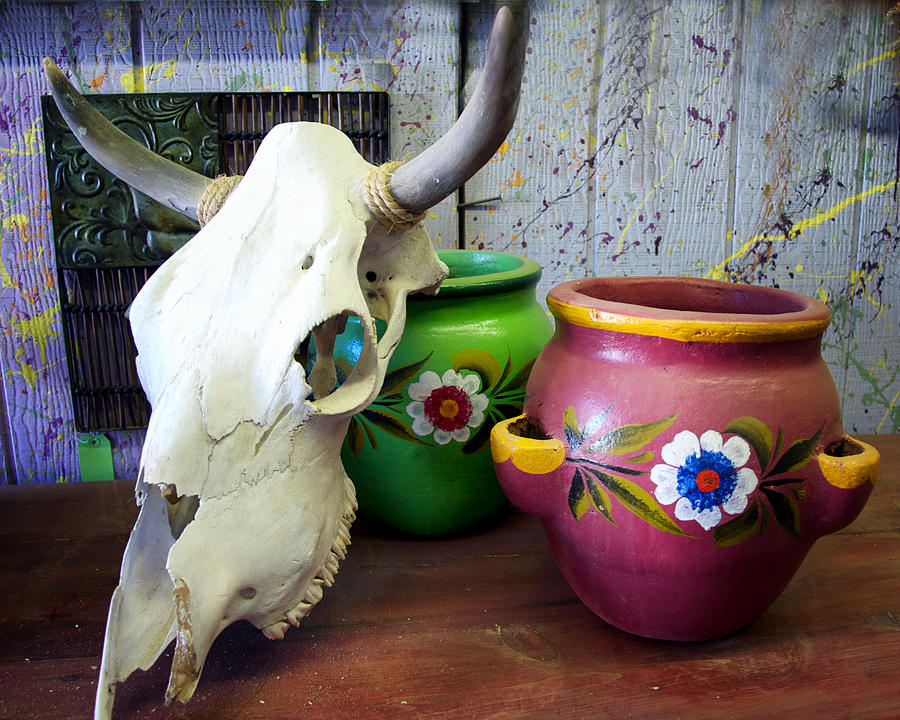 Still Life Photograph - Skull and Pottery by Diane Wood
