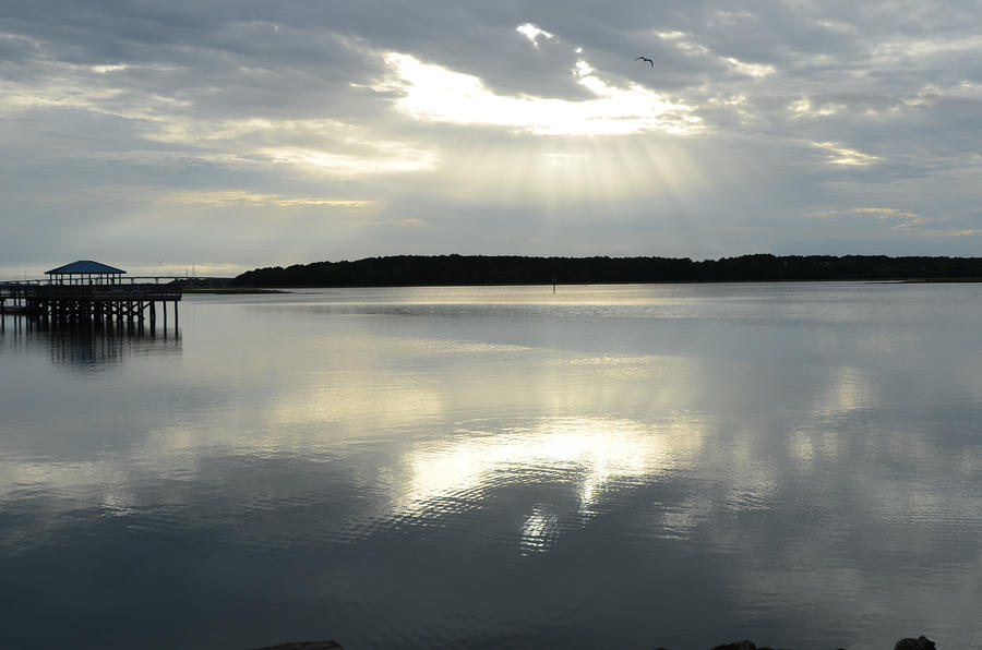 Skull Creek Photograph by Margaret Palmer - Pixels