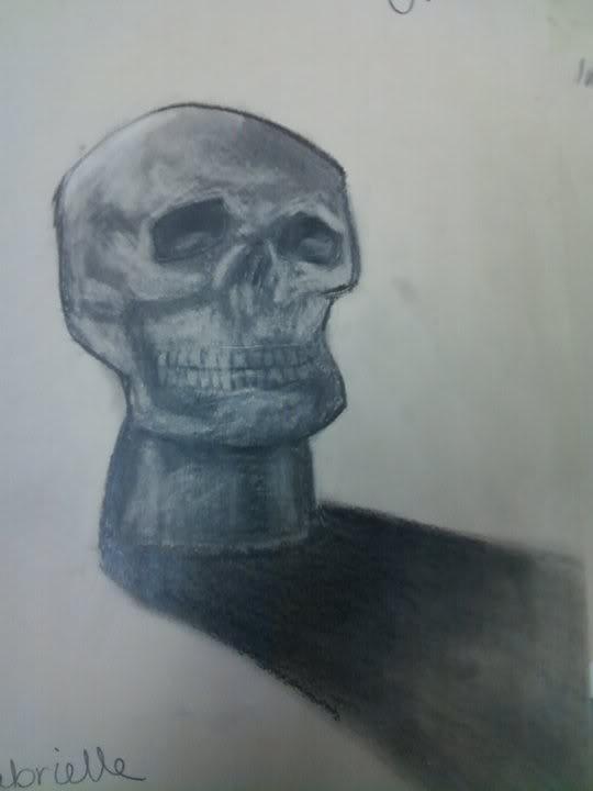 Black And White Drawing - Skull by Gabrielle Sassone