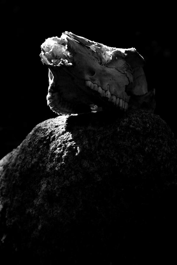 Skull Rock Photograph By Christine Gauthier Fine Art America