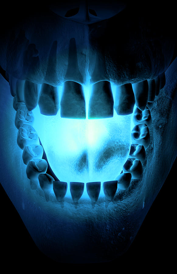 Portrait Digital Art - Skull, Teeth And Tongue by MedicalRF.com