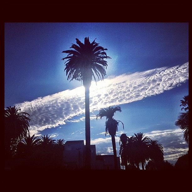 Losangeles Photograph - #sky #clouds #palmtree #venicebeach by Irina Liakh