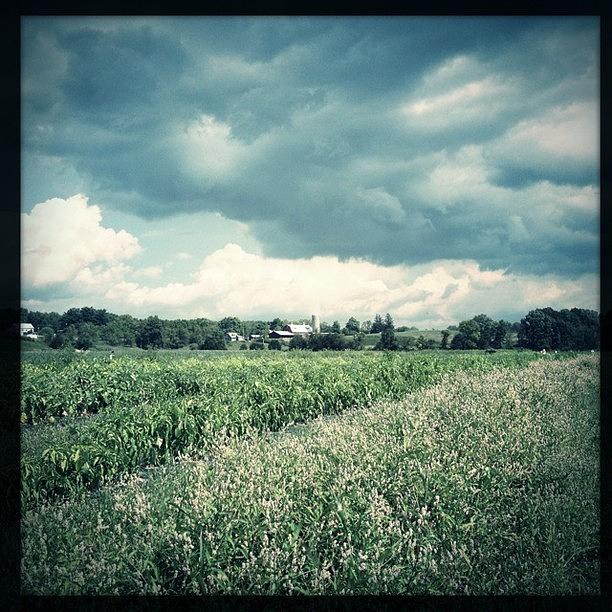 Farm Photograph - #sky #country #farm #tagstagram by Arkady Sandler