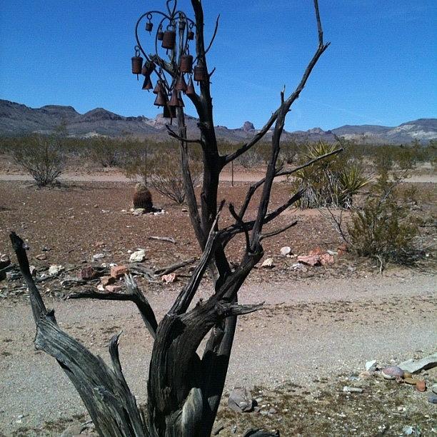 Tree Photograph - #sky #desert #tree #chimes by Jennifer OHarra