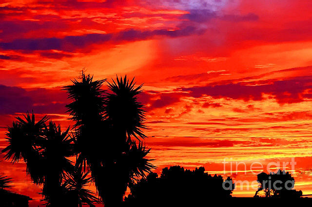 Morro Bay California Sky Fire Photograph by Tap On Photo