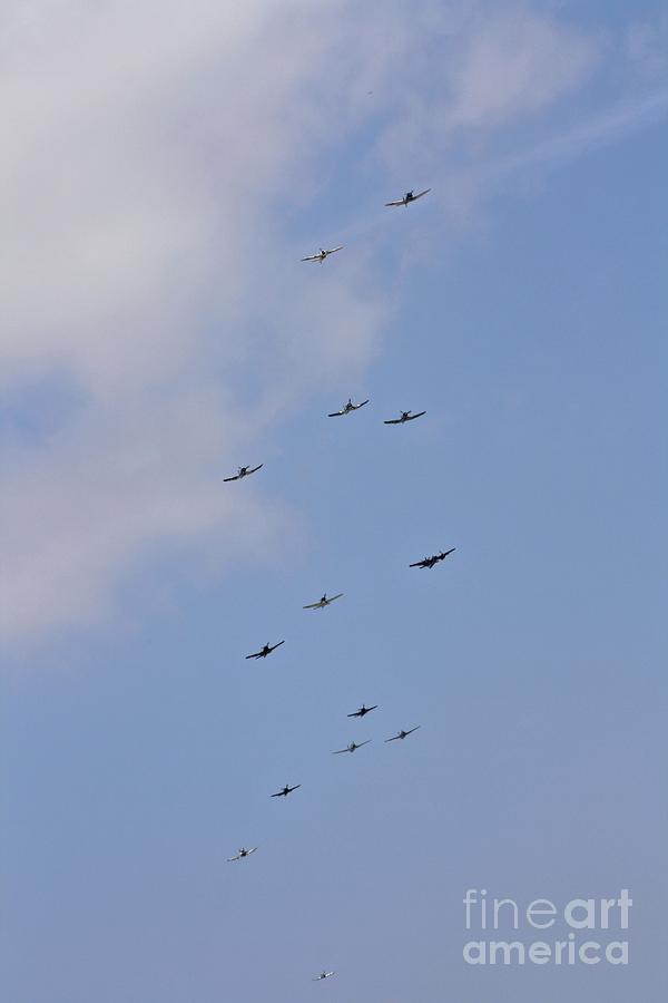Sky Full Of Warbirds Photograph