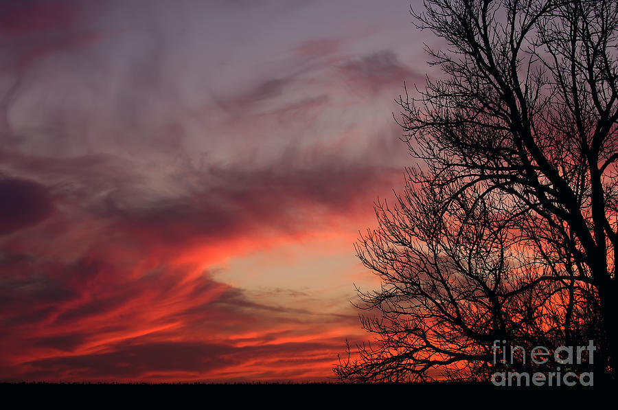 Sky on Fire Photograph by Art Whitton