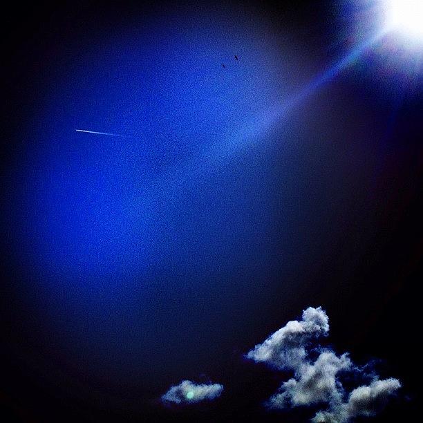 Bird Photograph - Sky Rockets In Flight.. 😝 #ignation by Emily W