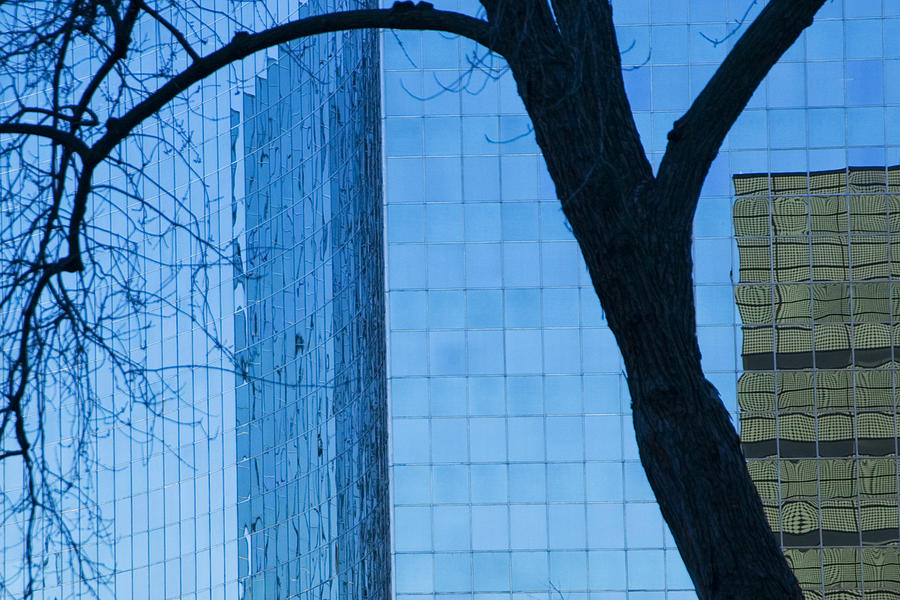 Sky Scraper Tall Building abstract with windows tree and reflections No.0066 Photograph by Randall Nyhof