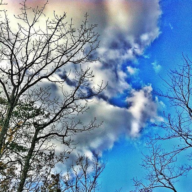 Tree Photograph - #sky #skyporn #skylovers #clouds by Matthew Loving