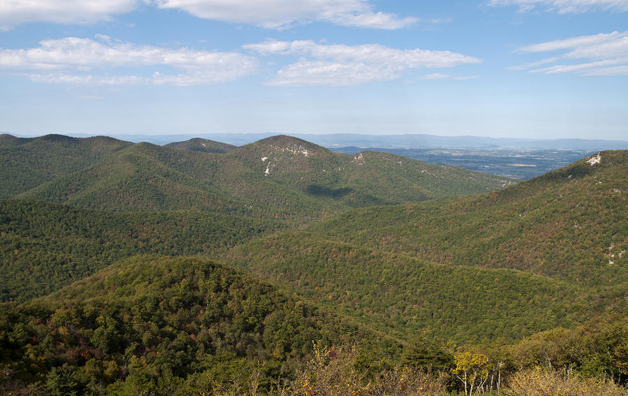 Skyline Drive View In Shenandoah National Park Virginia by Brendan Reals