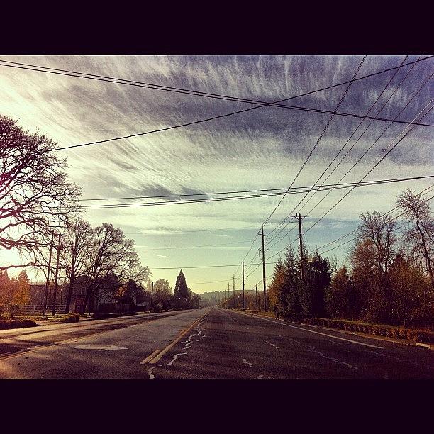 Winter Photograph - #skyscape #telephonewires #trees by Karen Clarke