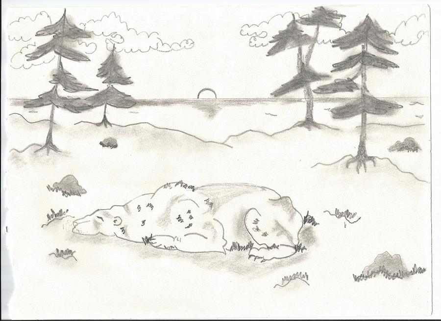 Sleeping Bear Drawing by Barbara Gallagher