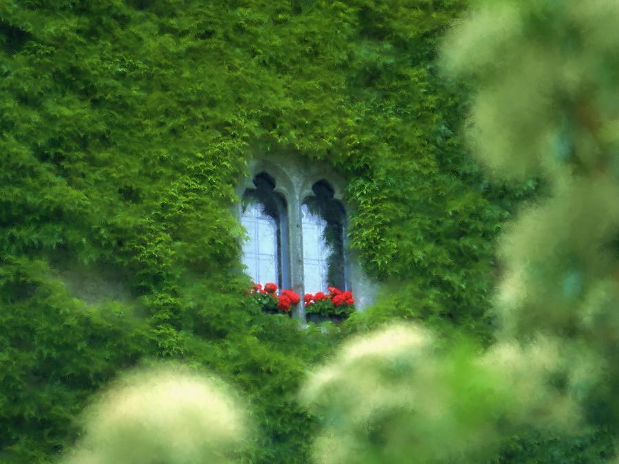 Sleeping Beauty Photograph - Sleeping Beautys Castle -- Dornroeschens Schloss by Arthur V Kuhrmeier Sleeping Beauty Photograph - Sleeping Beautys Castle -- Dornroeschens Schloss by Arthur V Kuhrmeier