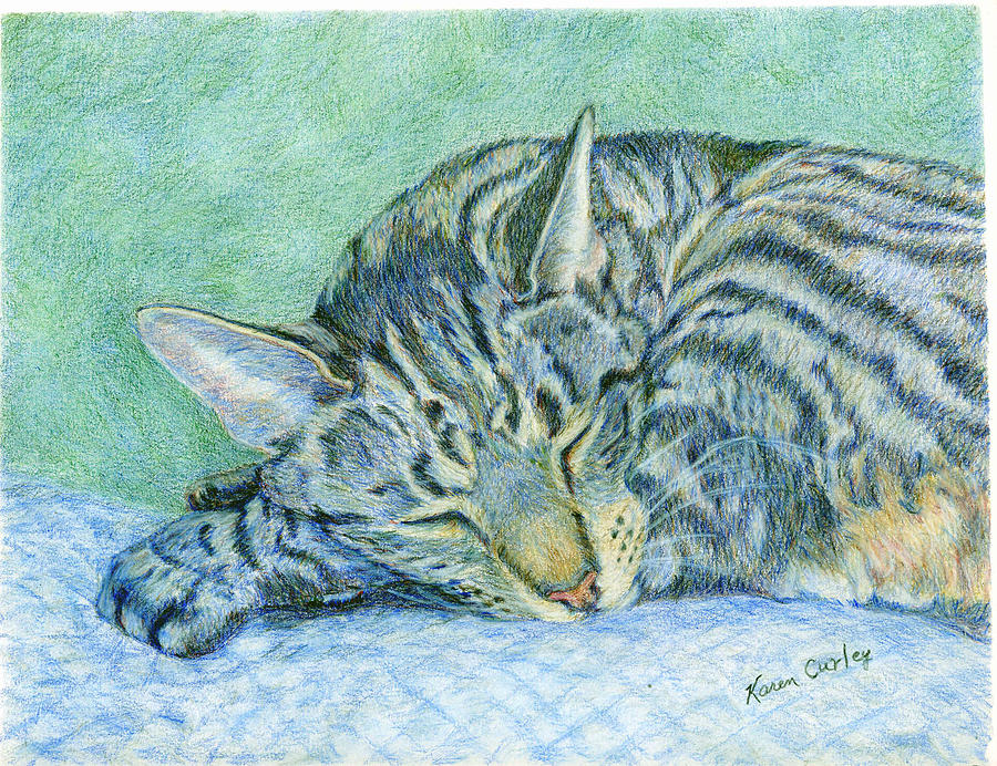 Tabby Cat Painting - Sleeping Tabby Cat by Karen Curley