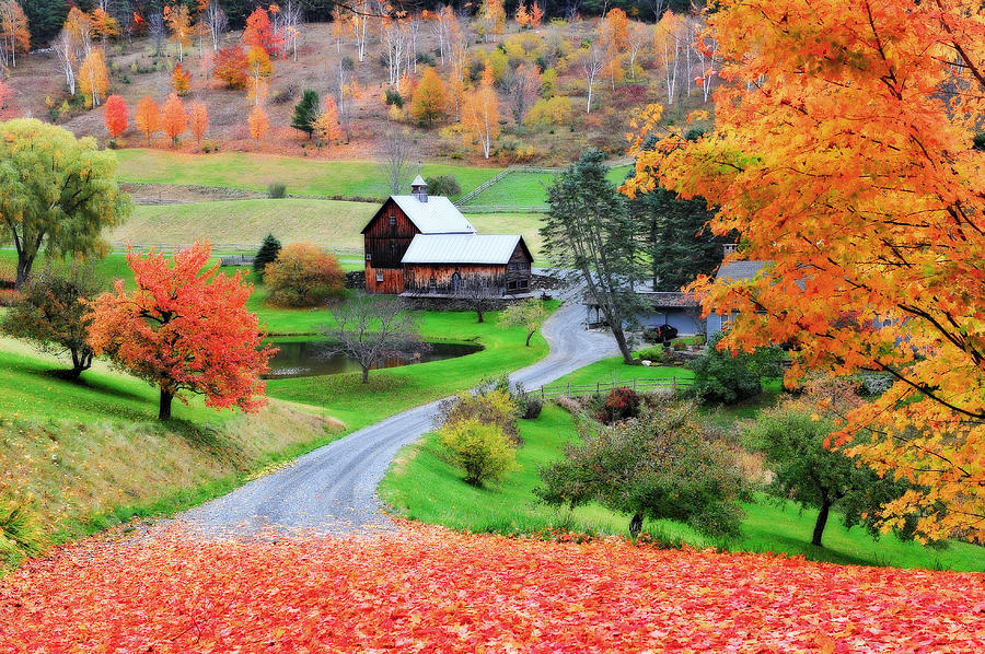 Sleepy Hollow Photograph by Charles Ford - Fine Art America